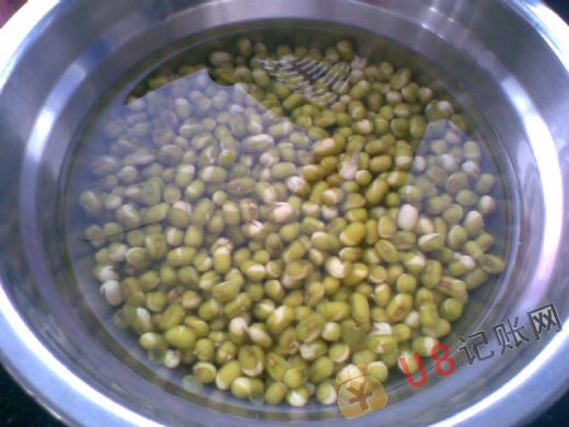 绿豆芽发芽过程图_绿豆芽发芽过程图片_绿豆芽的 ...